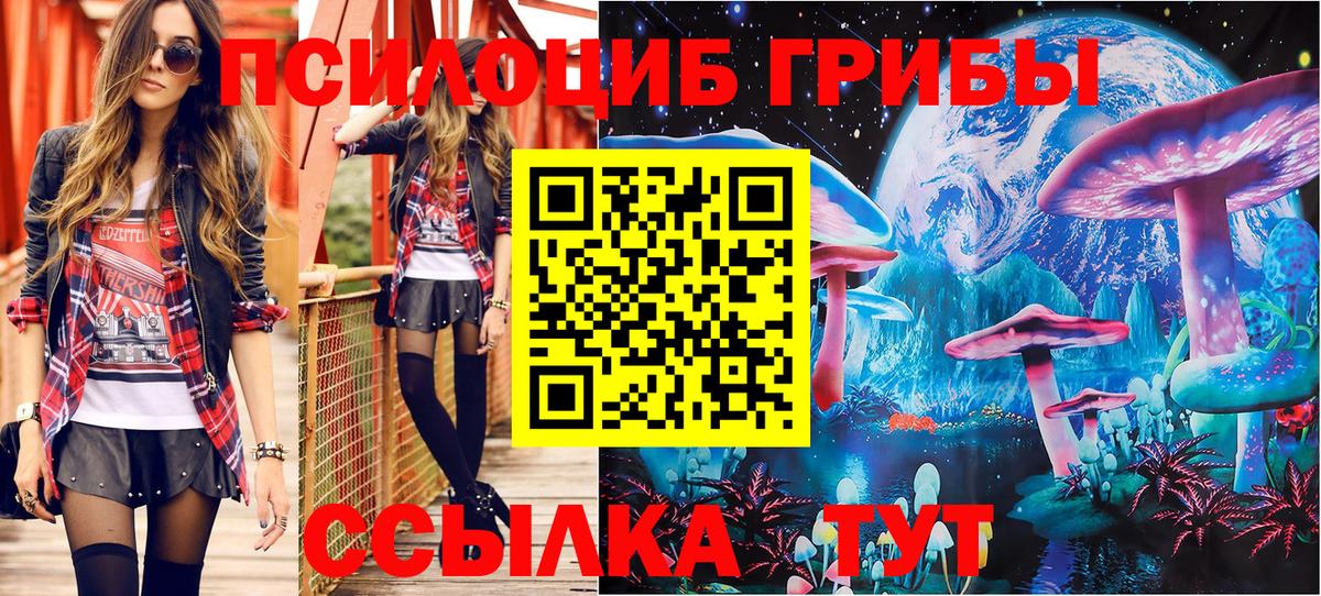 Балашиха  Галлюциногенные грибы MAGIC MUSHROOMS  Псилоцибиновые грибы Psilocybine cubensis  Вход с VPN 
