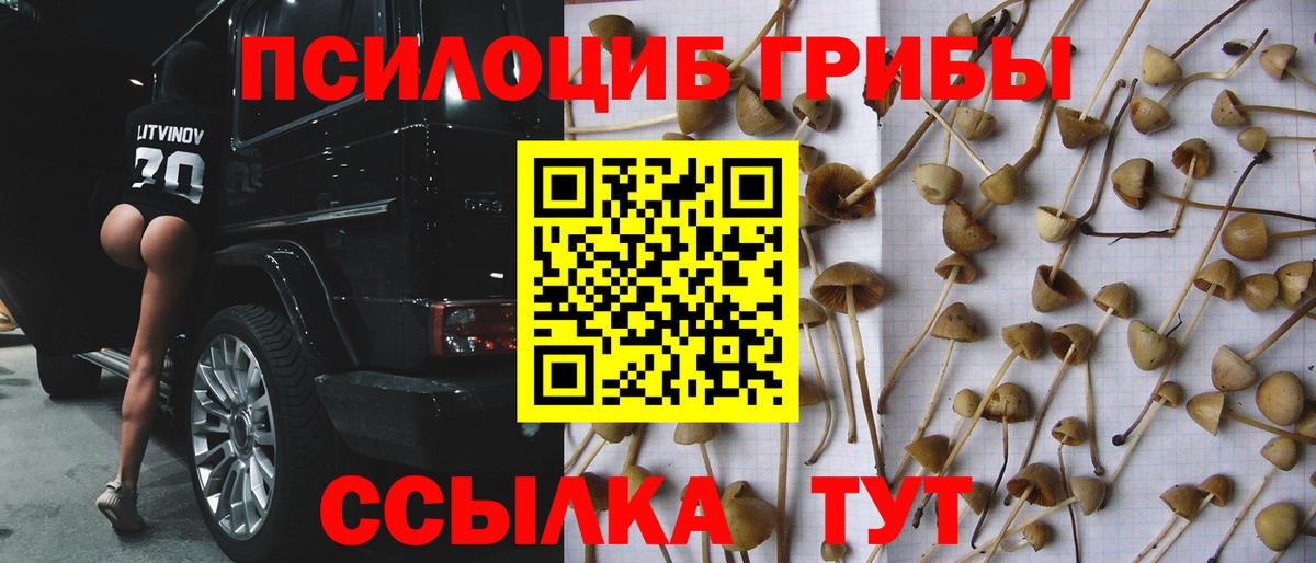 Псилоцибиновые грибы GOLDEN TEACHER Балашиха